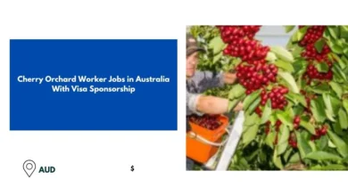 Cherry Orchard Worker Jobs in Australia
