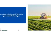 Farm Jobs in Netherlands