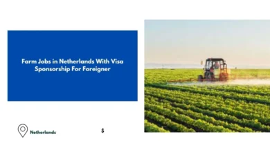 Farm Jobs in Netherlands