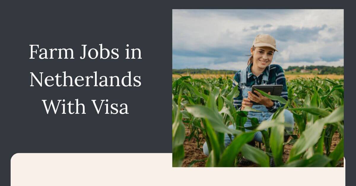 Farm Jobs in Netherlands With Visa
