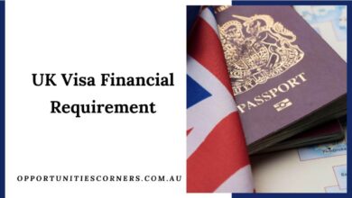 UK Visa Financial Requirement