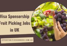 Visa Sponsorship Fruit Picking Jobs in UK