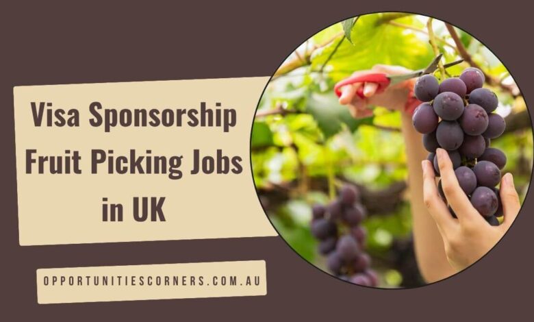 Visa Sponsorship Fruit Picking Jobs in UK
