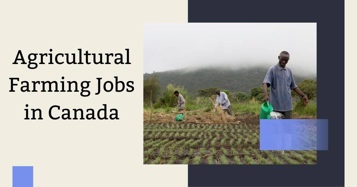 Agricultural Farming Jobs in Canada