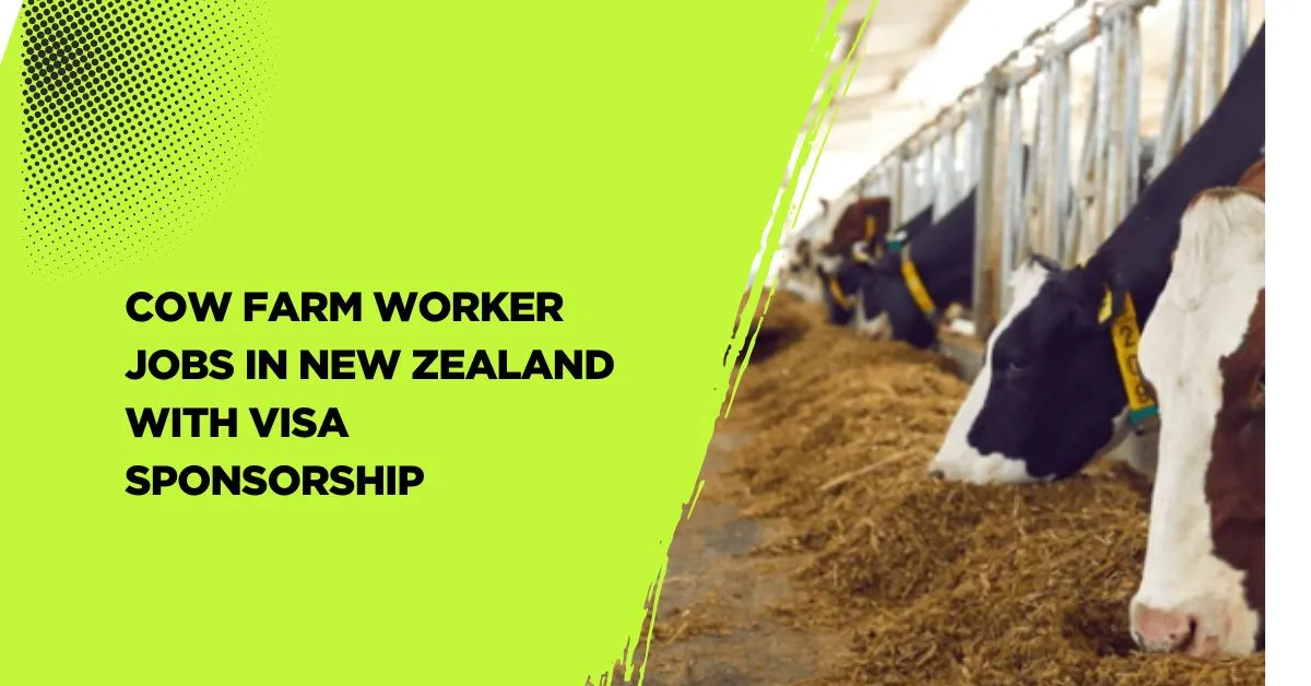 Cow Farm Worker Jobs in New Zealand
