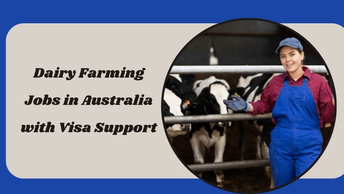 Dairy Farming Jobs in Australia with Visa Support