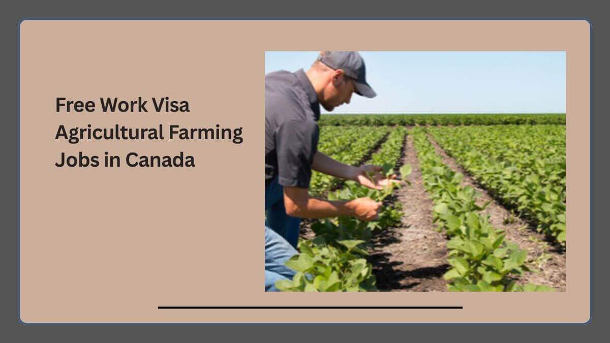 Free Work Visa Agricultural Farming Jobs in Canada