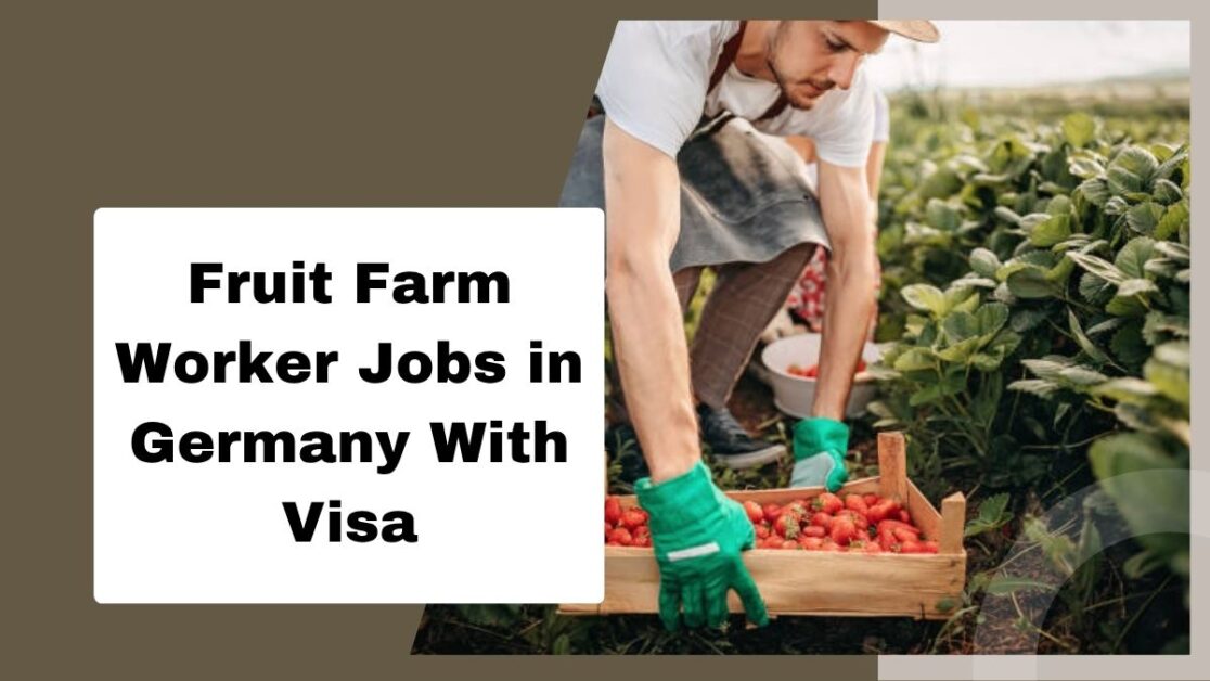 Fruit Farm Worker Jobs in Germany With Visa