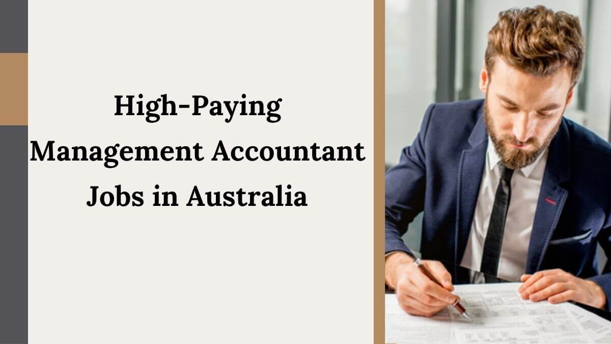 High-Paying Management Accountant Jobs in Australia