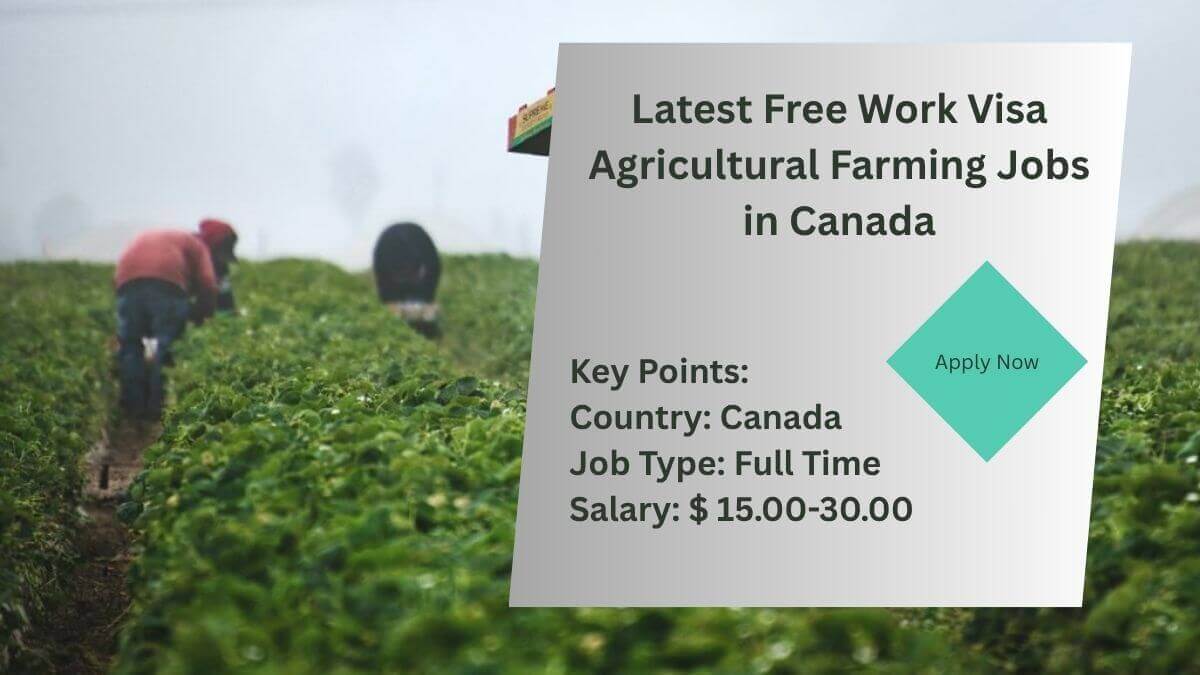 Latest Free Work Visa Agricultural Farming Jobs in Canada