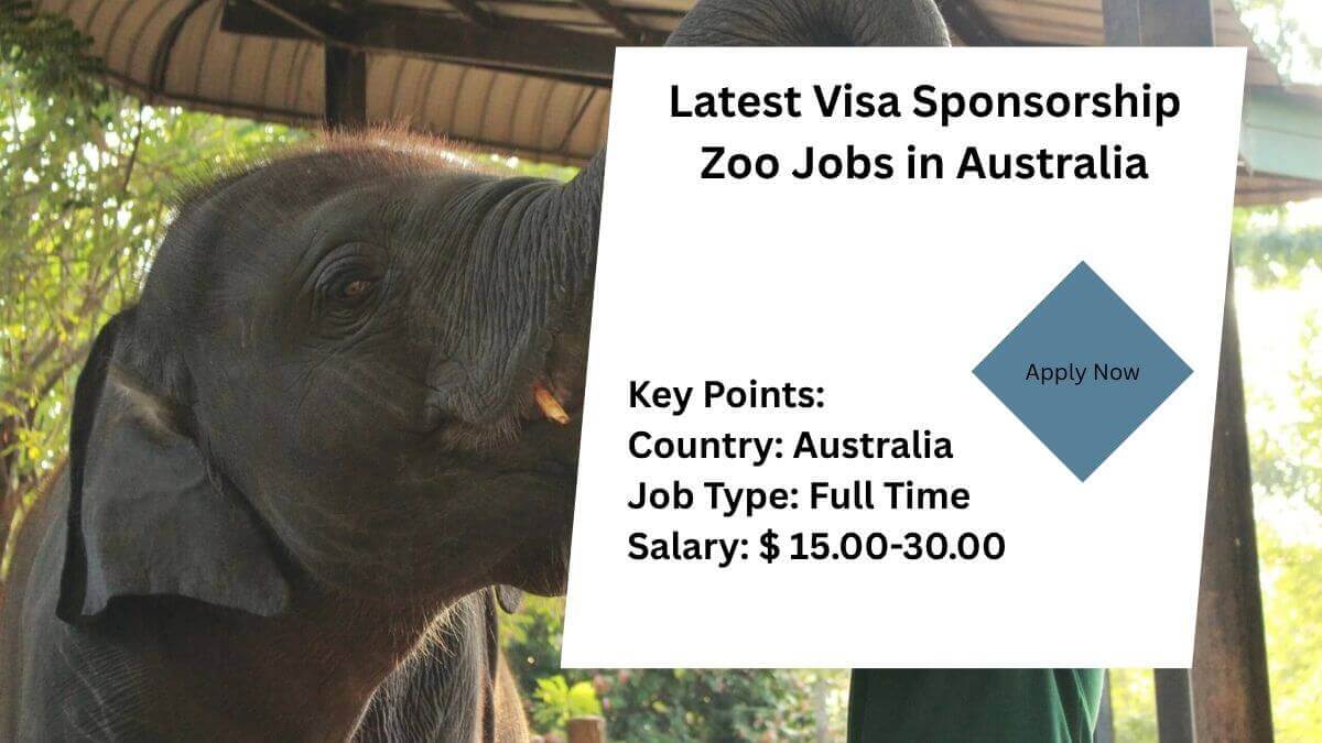 Latest Visa Sponsorship Zoo Jobs in Australia (3)