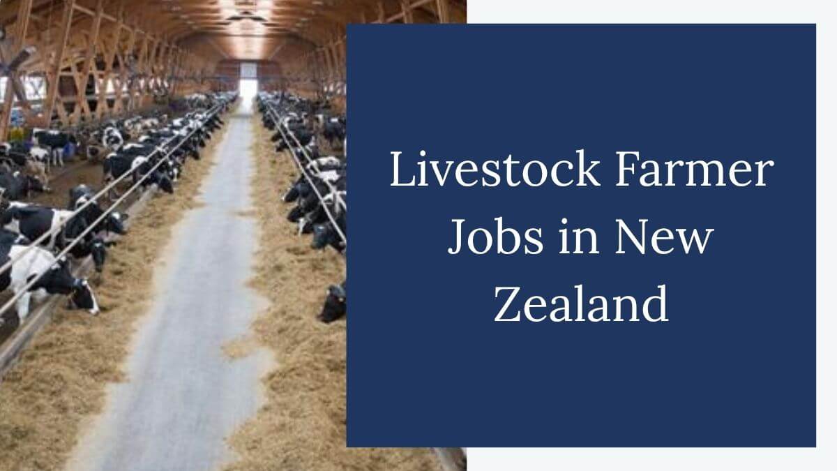 Livestock Farmer Jobs in New Zealand