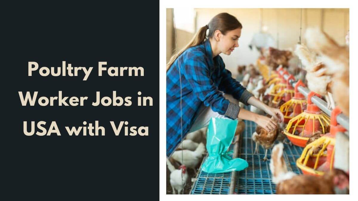 Poultry Farm Worker Jobs in USA with Visa