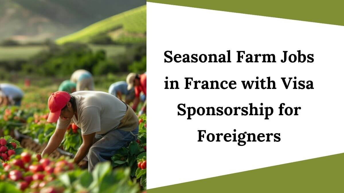 Seasonal Farm Jobs in France with Visa Sponsorship for Foreigners