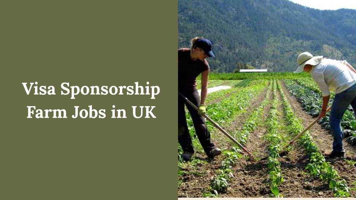 Visa Sponsorship Farm Jobs in UK