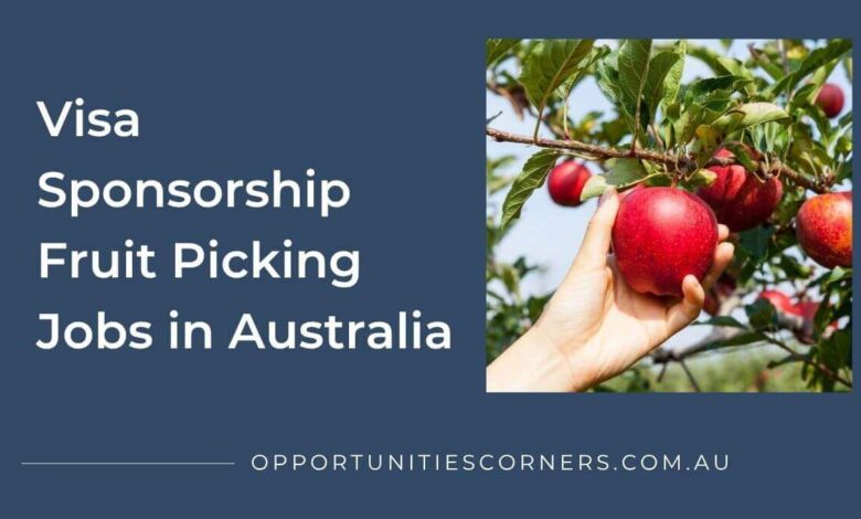 Visa Sponsorship Fruit Picking Jobs in Australia
