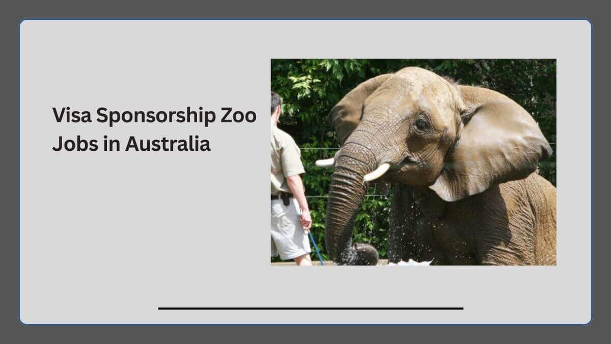 Visa Sponsorship Zoo Jobs in Australia