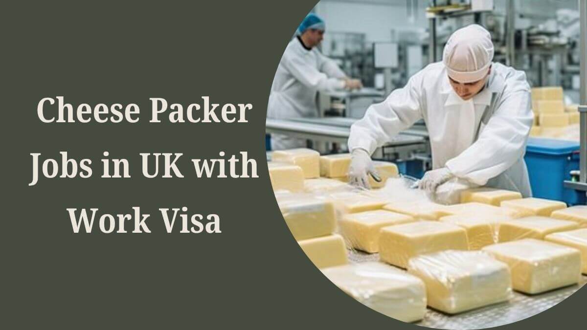 Cheese Packer Jobs in UK with Work Visa