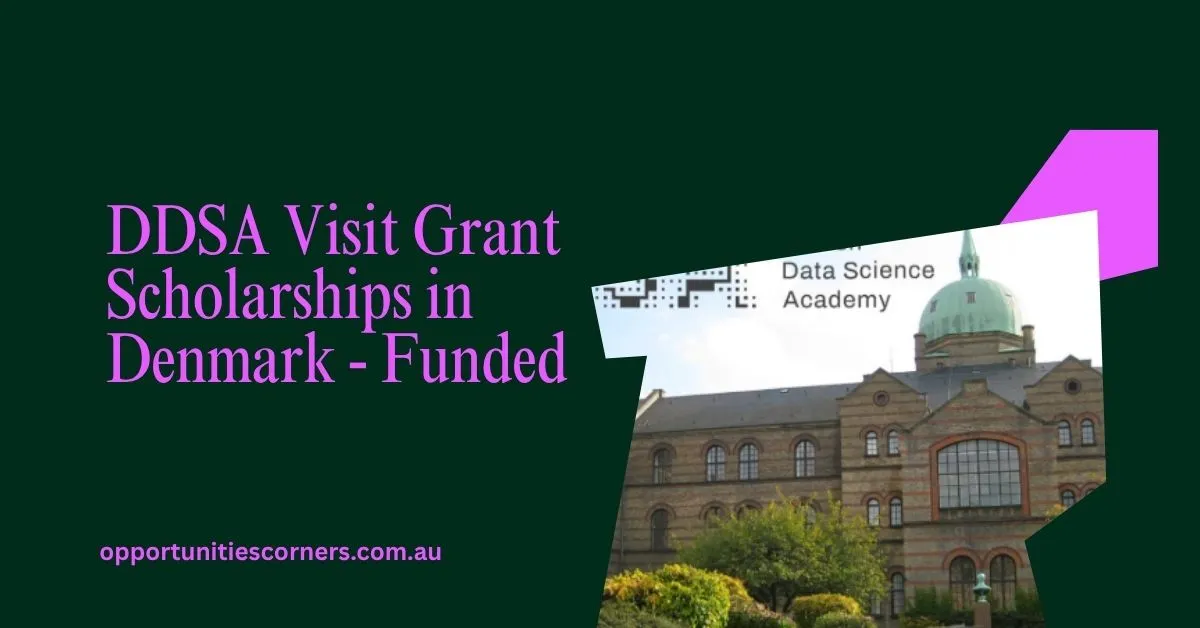 DDSA Visit Grant Scholarships in Denmark