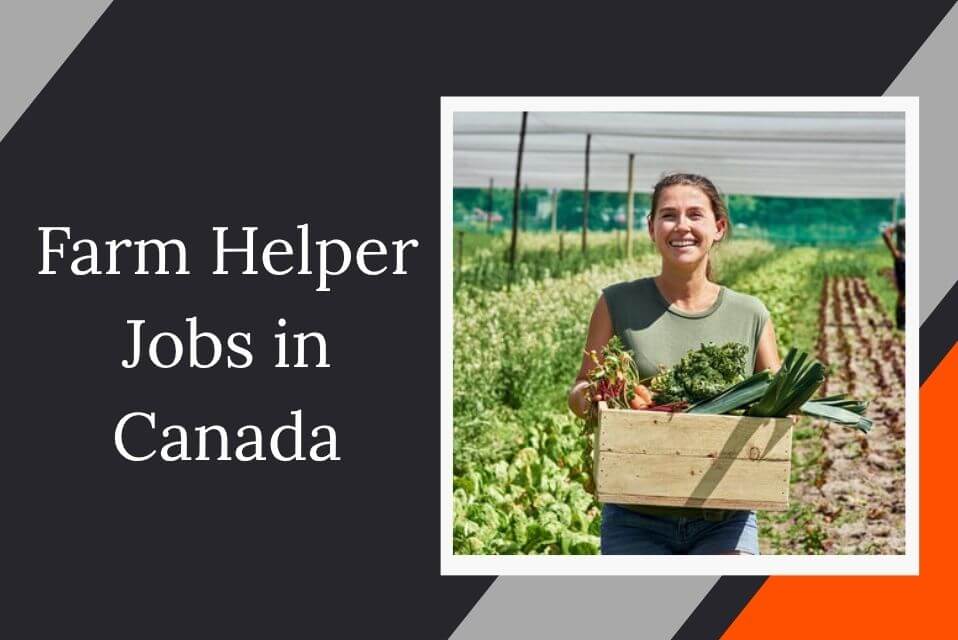 Farm Helper Jobs in Canada
