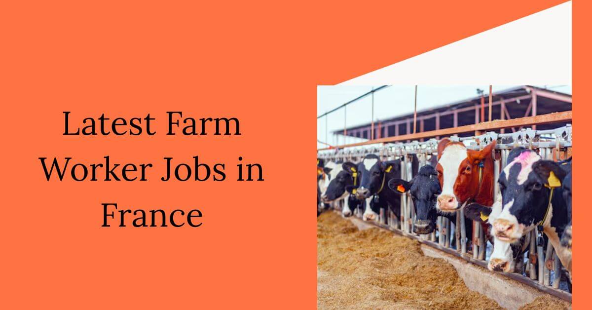 Latest Farm Worker Jobs in France