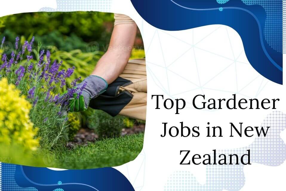 Top Gardener Jobs in New Zealand