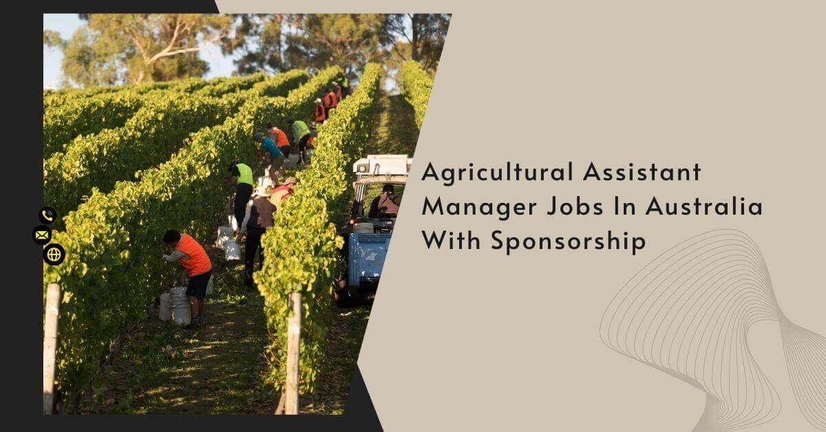 Agricultural Assistant Manager Jobs In Australia With Sponsorship