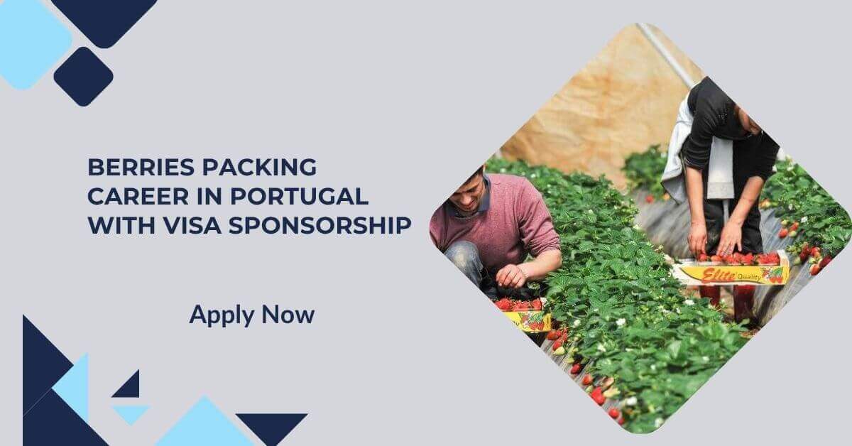 Berries Packing Career In Portugal With Visa Sponsorship
