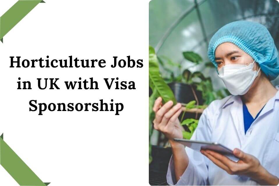 Horticulture Jobs in UK with Visa Sponsorship
