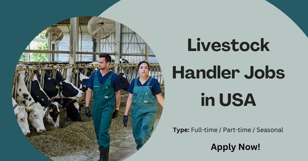 Livestock Handler Jobs in USA