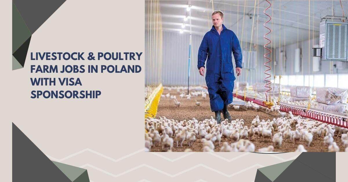 Livestock & Poultry Farm Jobs In Poland With Visa Sponsorship