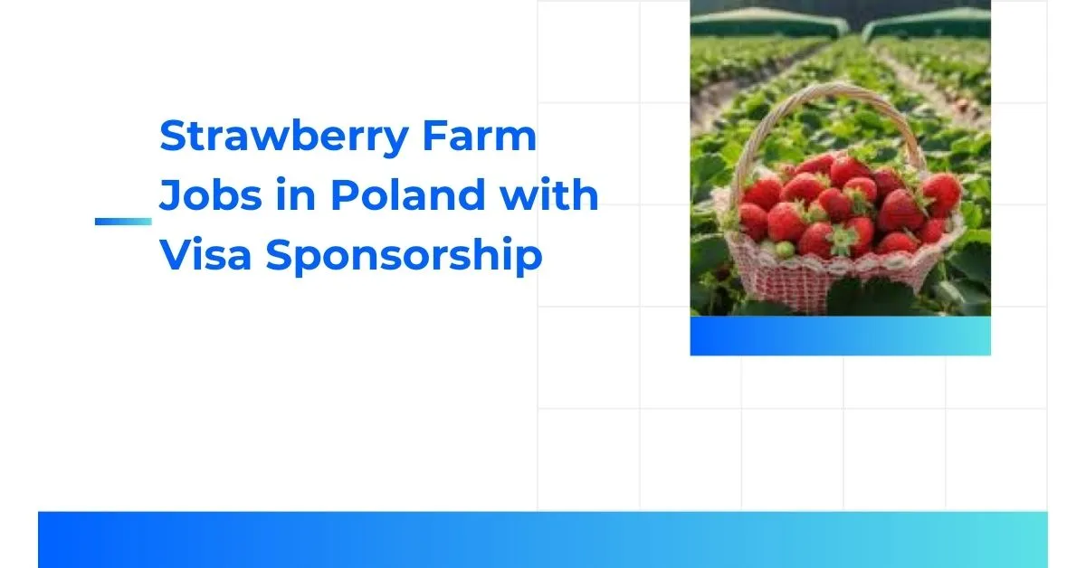 Strawberry Farm Jobs in Poland
