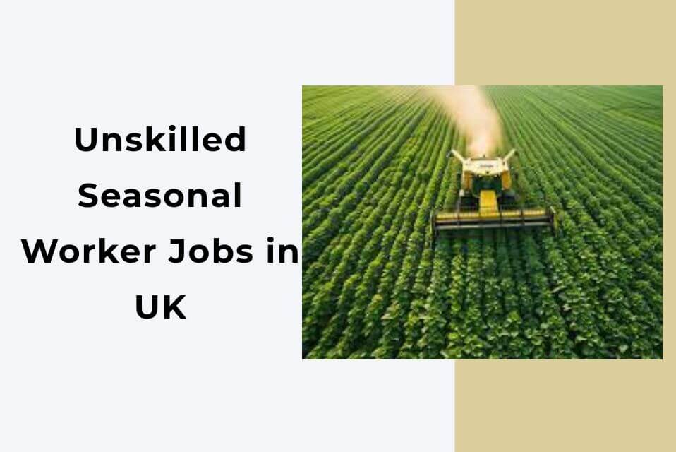 Unskilled Seasonal Worker Jobs in UK