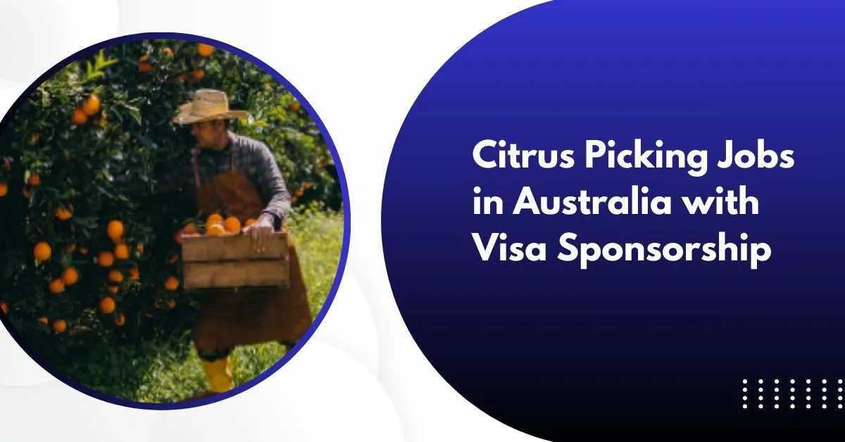 Citrus Picking Jobs in Australia