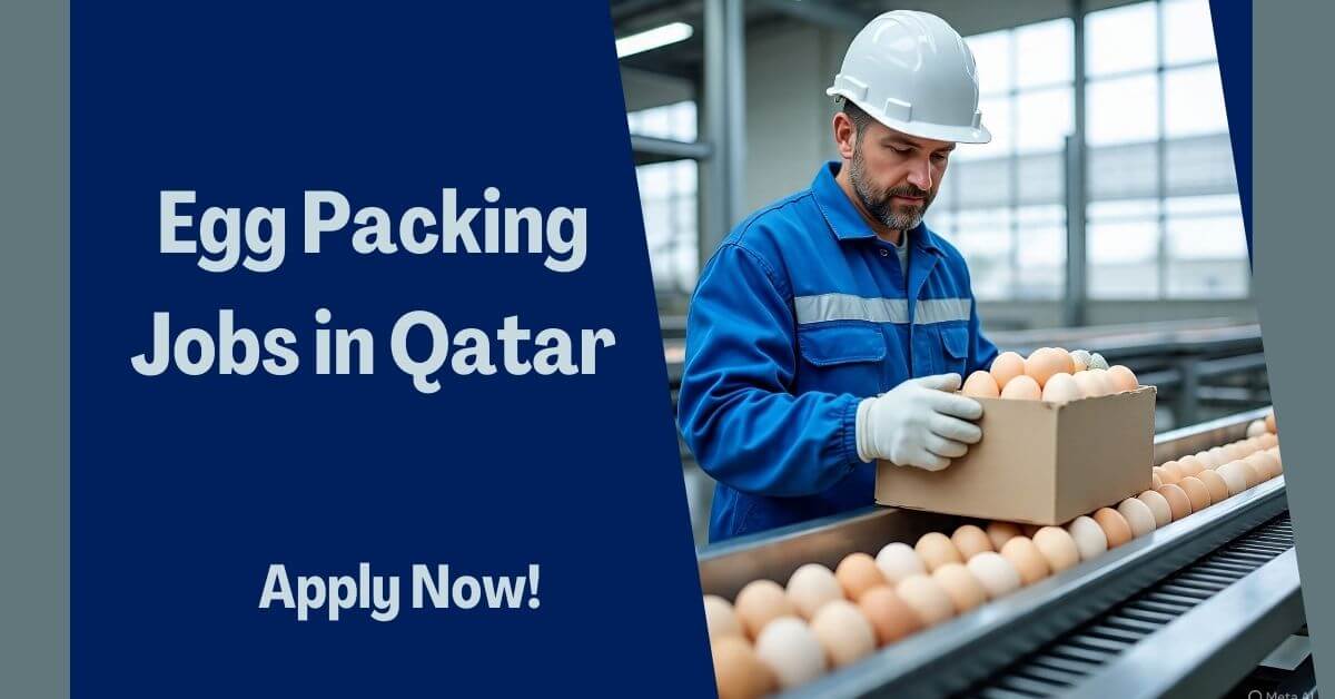 Egg Packing Jobs in Qatar