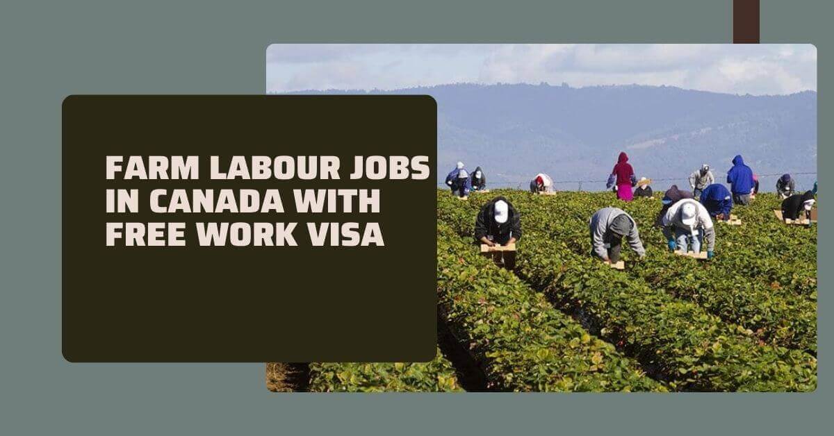 Farm Labour Jobs In Canada With Free Work Visa