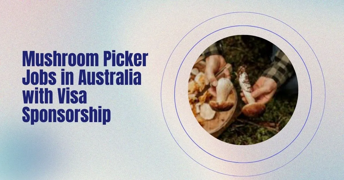 Mushroom Picker Jobs in Australia
