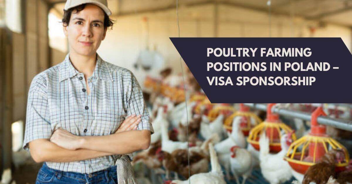 Poultry Farming Positions In Poland – Visa Sponsorship