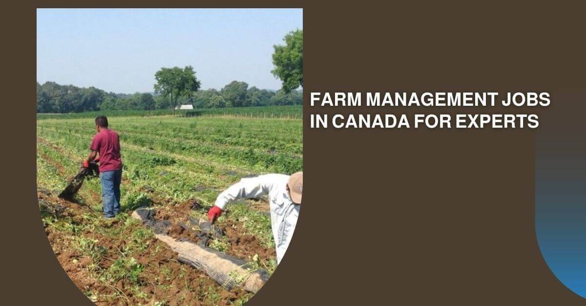 Farm Management Jobs In Canada For Experts